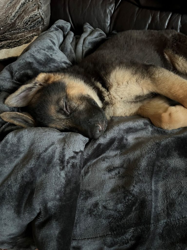 Sleep Human Capital