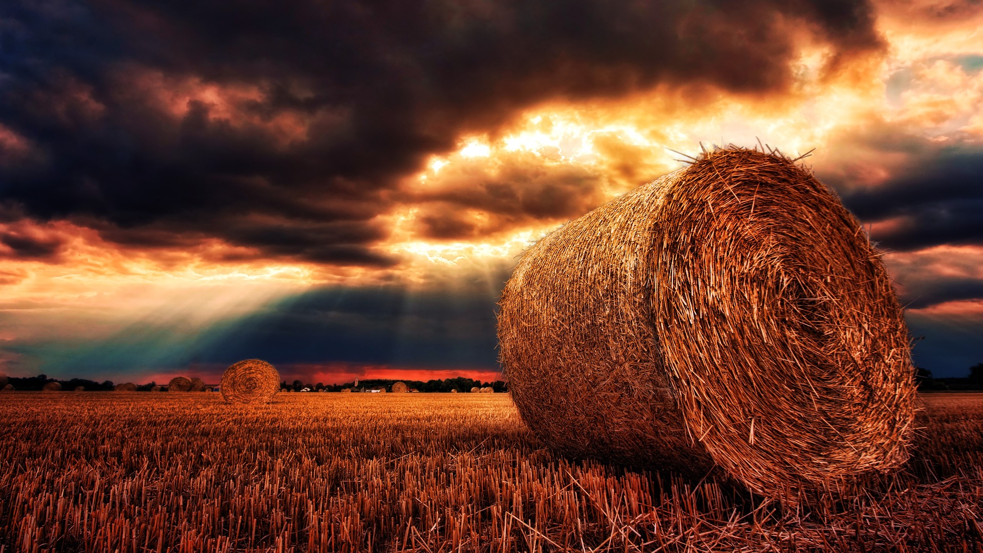 Read more about the article Should You Tax Loss Harvest in Down Markets?